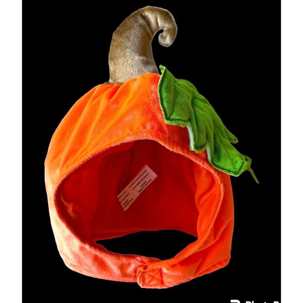 NWOT Halloween Costume Pumpkin Hat Thanksgiving Cap Suit Yourself Child …